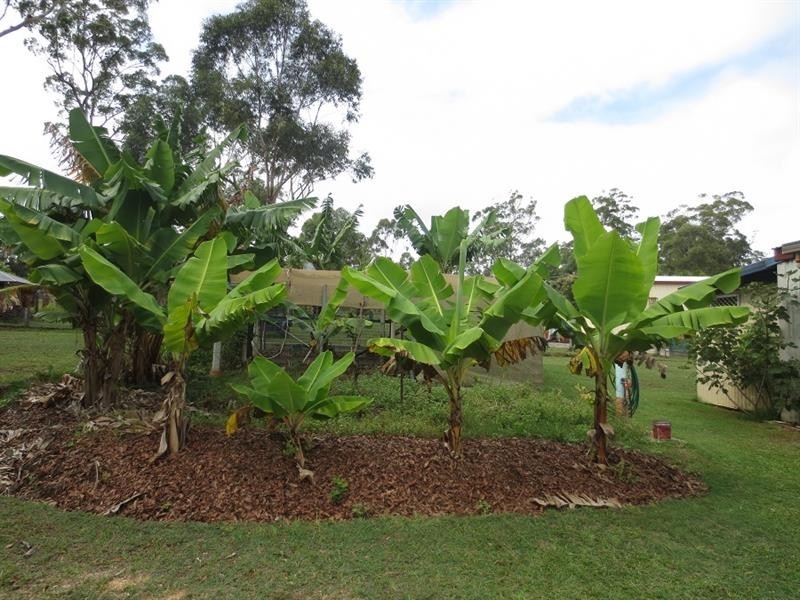 31 Mahogany Dr, Gulmarrad NSW 2463