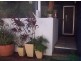 3/11 Pacific Pde, Yamba NSW 2464