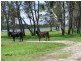 718 North Bank Rd, Palmers Island NSW 2463