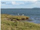718 North Bank Rd, Palmers Island NSW 2463