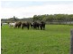 718 North Bank Rd, Palmers Island NSW 2463