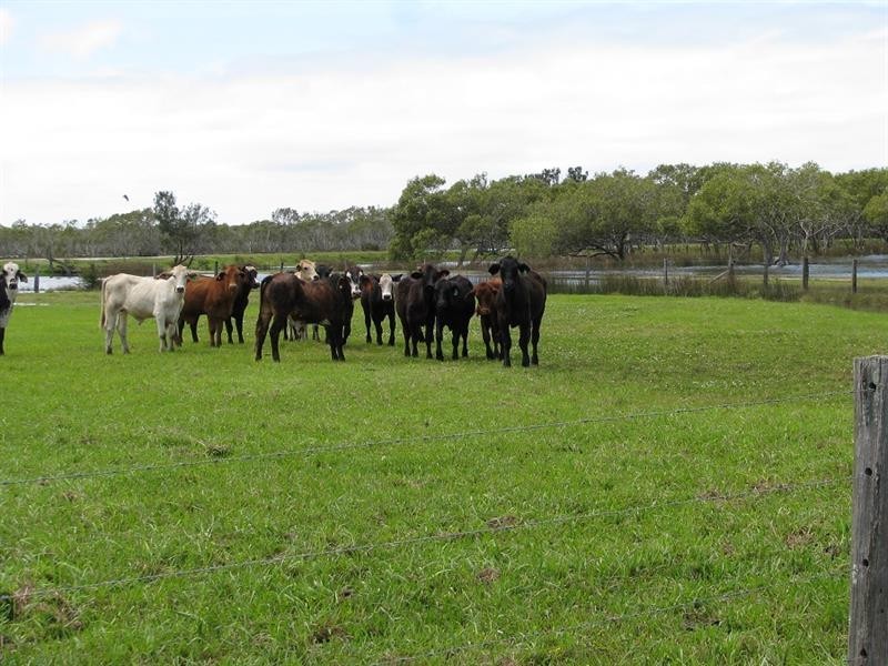 718 North Bank Rd, Palmers Island NSW 2463