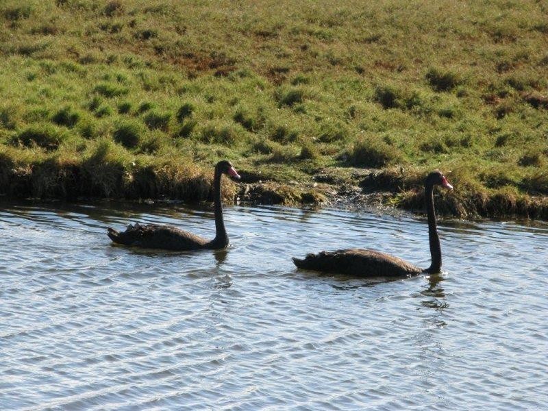 Lot 10 North Bank Rd, Palmers Island NSW 2463