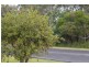 1 Cox St, Yamba NSW 2464
