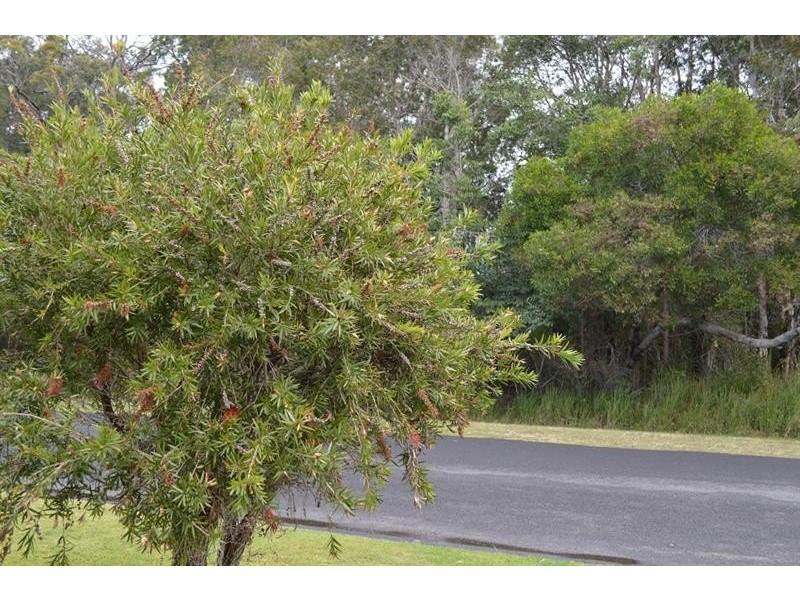 1 Cox St, Yamba NSW 2464