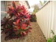 1 Cox St, Yamba NSW 2464