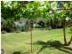 3669 Pacific Hwy, Shark Creek NSW 2463