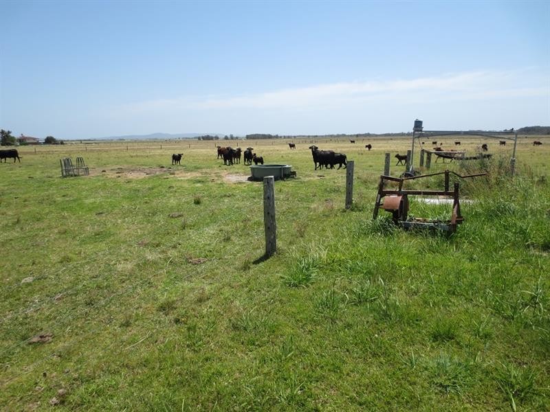640 North Bank Rd, Palmers Island NSW 2463