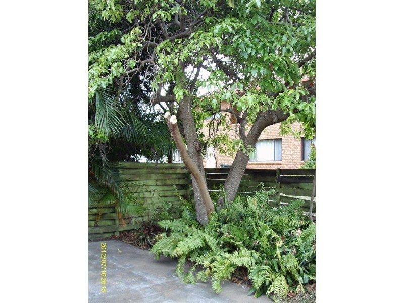 3/2 Riverview St, Iluka NSW 2466