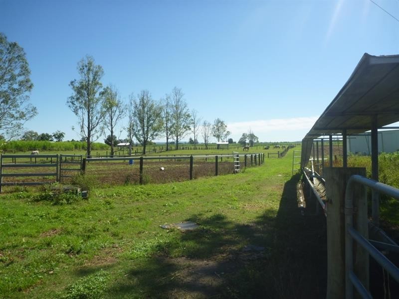 Lot 1 -359 South Arm School Rd, Brushgrove NSW 2460