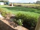 246 Tucabia-Tyndale Rd, Tucabia NSW 2462