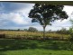 246 Tucabia-Tyndale Rd, Tucabia NSW 2462