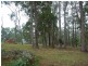 Lot 1023 Old Woombah Rd, Woombah NSW 2469