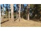 Lot 1023 Old Woombah Rd, Woombah NSW 2469