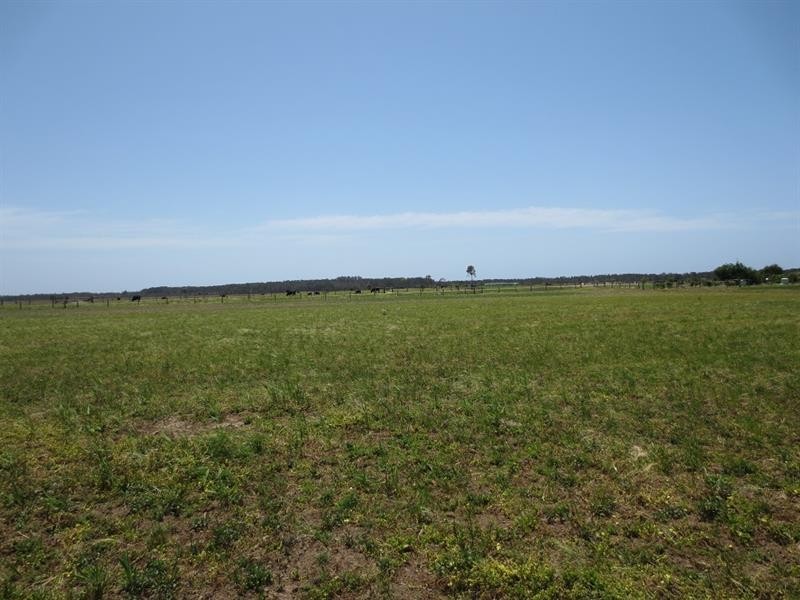 Lot132/640 North Bank Rd, Palmers Island NSW 2463