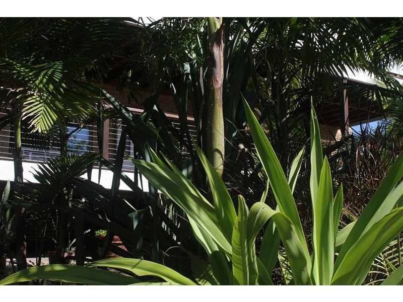 4 Shelley St, Angourie NSW 2464