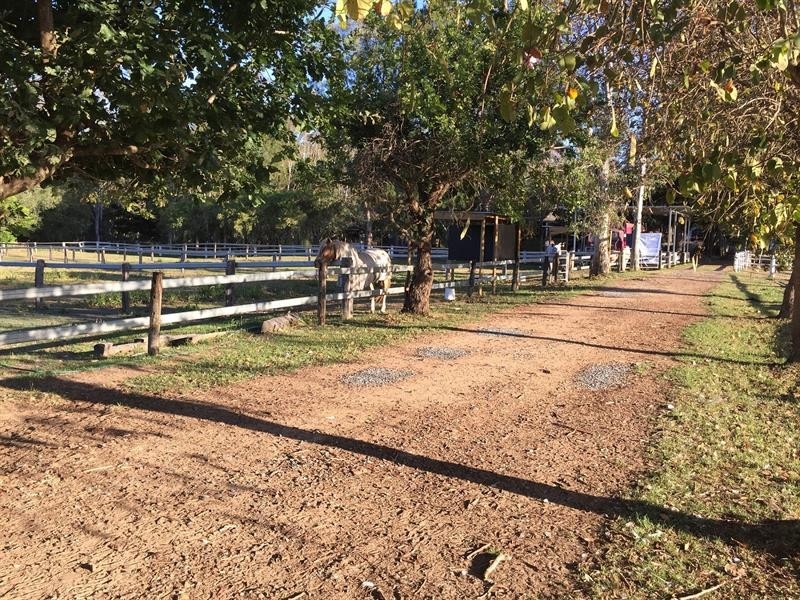 1275 South Arm Rd, South Arm NSW 2460