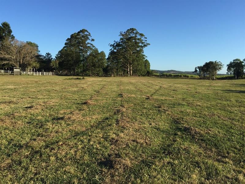 1275 South Arm Rd, South Arm NSW 2460