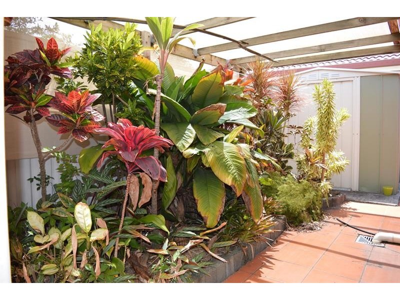 1/17 Urara St, Yamba NSW 2464