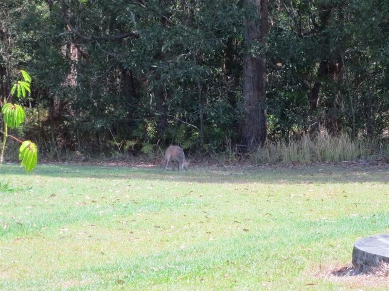 7 Kookaburra Ct, Woombah NSW 2469