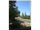 8 Poinsettia Cres, Brooms Head NSW 2463