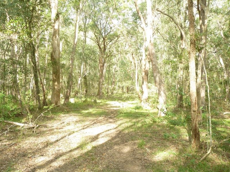 Lot 8 James Creek Rd, James Creek NSW 2463