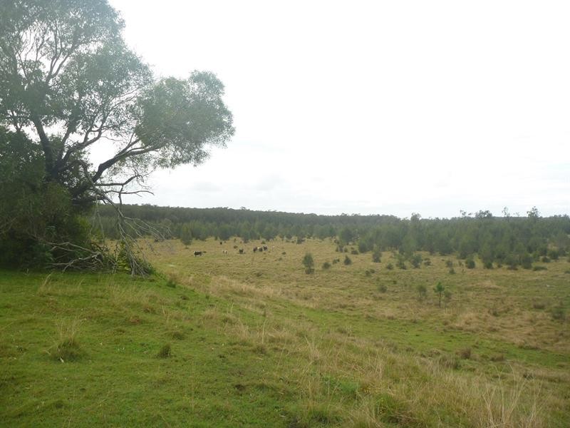 Taloumbi NSW 2463