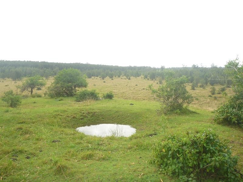 Taloumbi NSW 2463