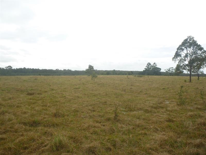 Taloumbi NSW 2463