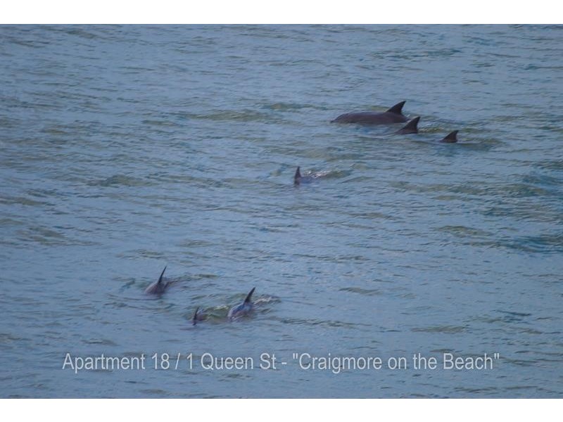 18/1 Queen St, Yamba NSW 2464