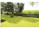 77 North Bank Rd, Palmers Island NSW 2463