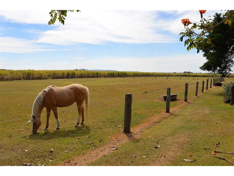 363 North Bank Road, Palmers Island NSW 2463