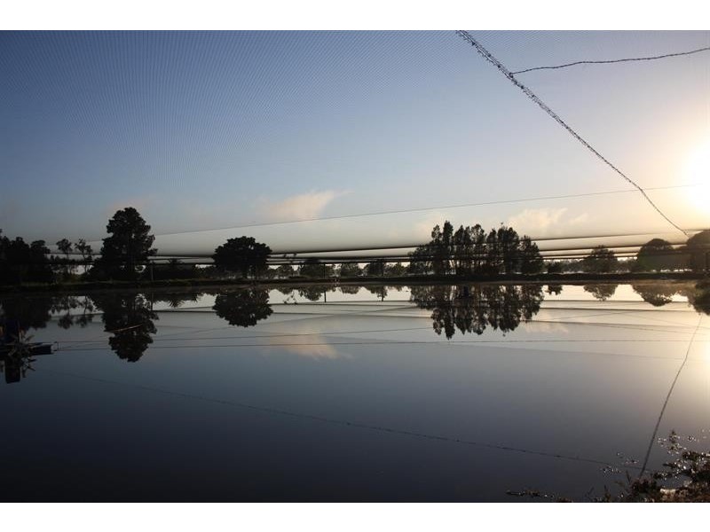 Lot 65 Mcdermids Rd, Palmers Island NSW 2463