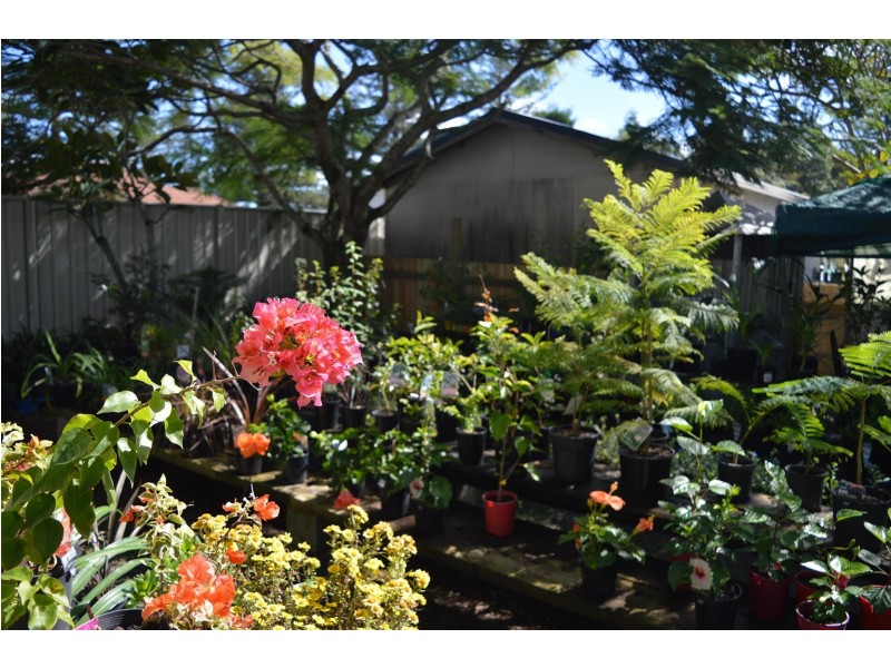 31 Coldstream Street, Yamba NSW 2464