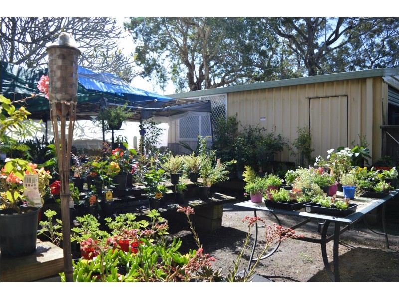 31 Coldstream Street, Yamba NSW 2464