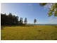 775 Goodwood Island Road, Goodwood Island NSW 2469
