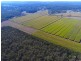 308 Brooms Head Road, Gulmarrad NSW 2463