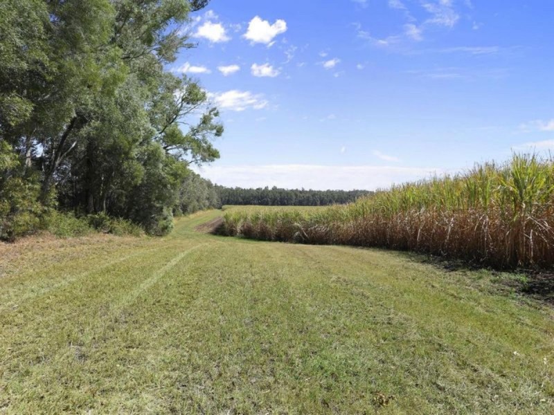 308 Brooms Head Road, Gulmarrad NSW 2463