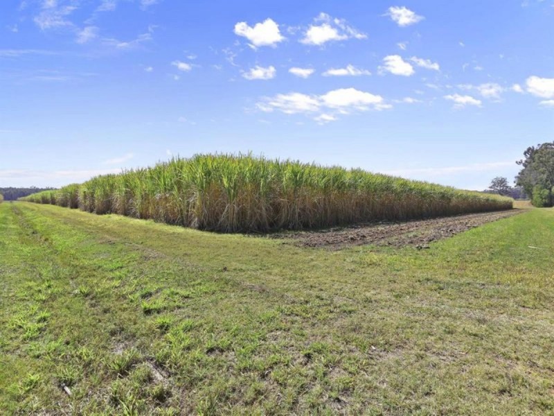 308 Brooms Head Road, Gulmarrad NSW 2463
