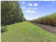 308 Brooms Head Road, Gulmarrad NSW 2463