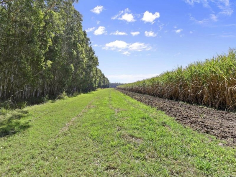 308 Brooms Head Road, Gulmarrad NSW 2463