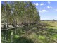 308 Brooms Head Road, Gulmarrad NSW 2463