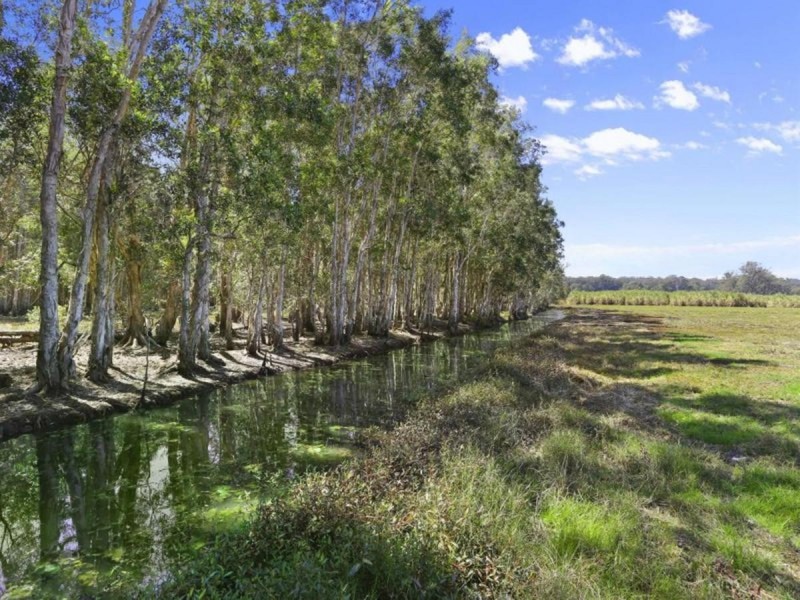 308 Brooms Head Road, Gulmarrad NSW 2463