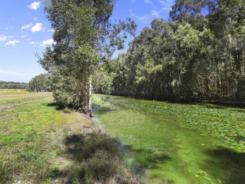 308 Brooms Head Road, Gulmarrad NSW 2463