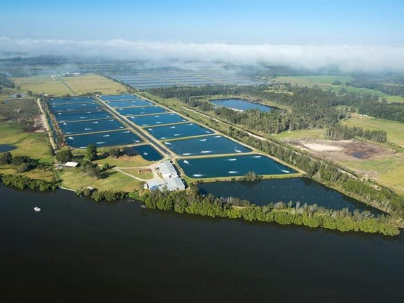 Lot 65 Mcdermids Rd, Palmers Island NSW 2463