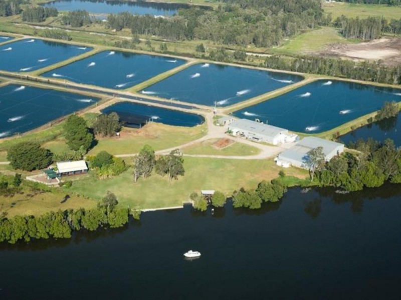 Lot 65 Mcdermids Rd, Palmers Island NSW 2463