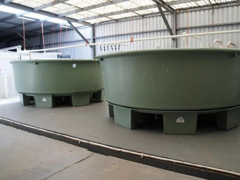 Lot 65 Mcdermids Rd, Palmers Island NSW 2463