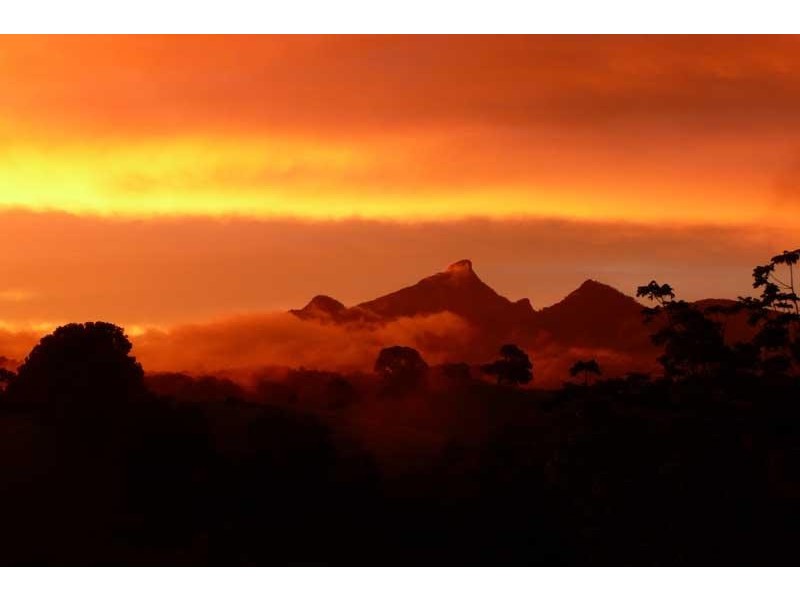 52 Malabar Ave, Uki NSW 2484