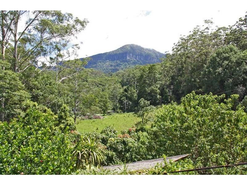 133 Settlement Rd, Numinbah NSW 2484