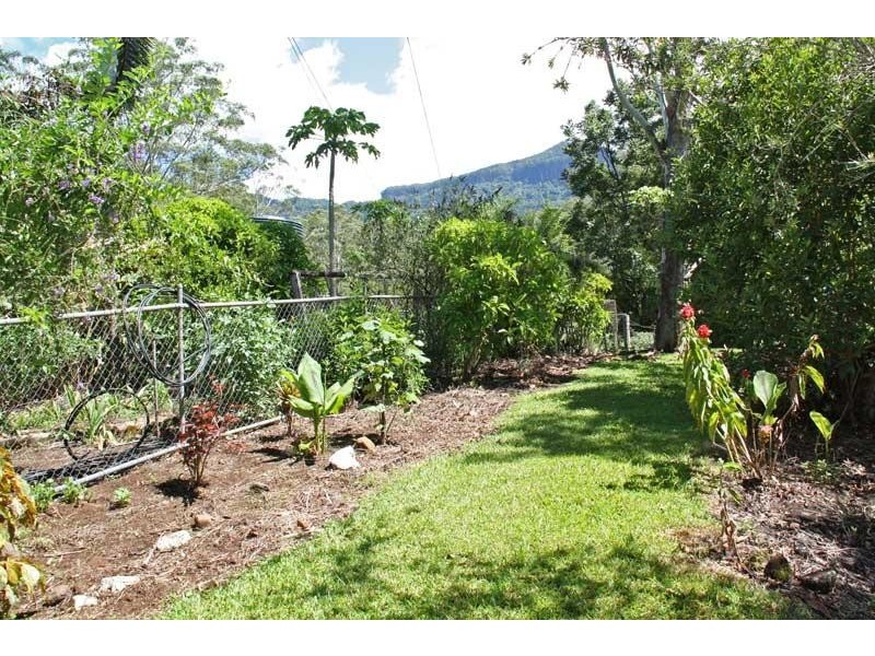 133 Settlement Rd, Numinbah NSW 2484